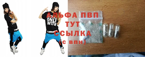 сатива Белоозёрский