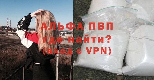 сатива Белоозёрский