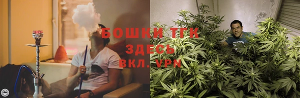 сатива Белоозёрский