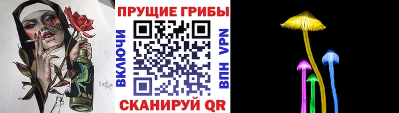 Галлюциногенные грибы прущие грибы  Волосово 